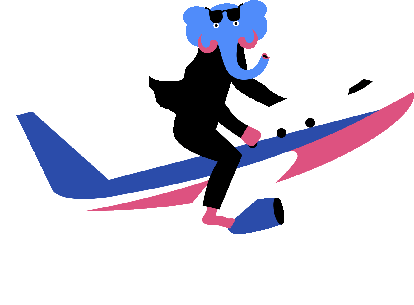 飛行機に乗っている象