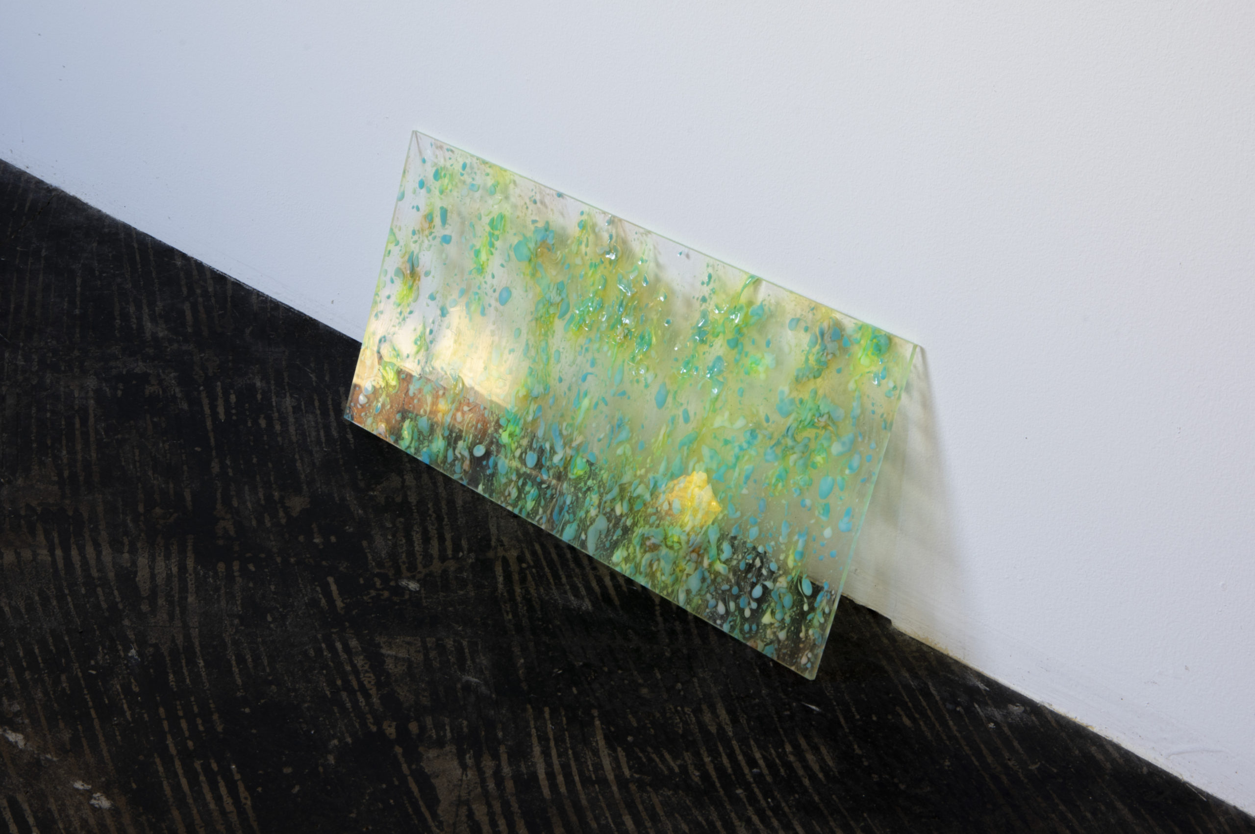 カビ　アート作品　アクリル CANDAYSなアクリルをつくる | NEWSED - ケンエレファント